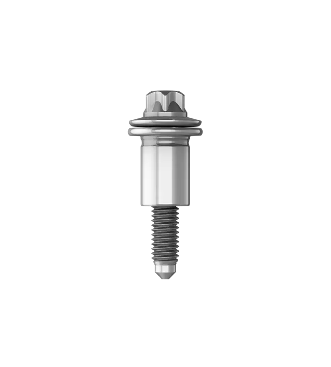 Metal bolt with hexagonal head