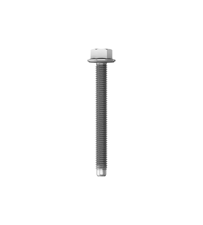 Metal screw with a threaded shaft