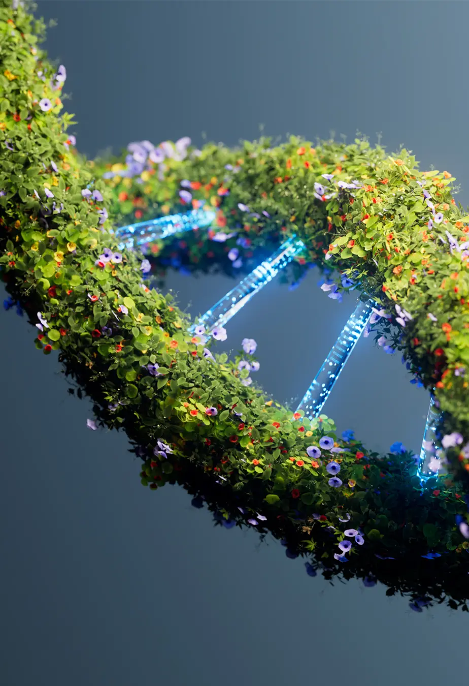 DNA helix made of plants and lights